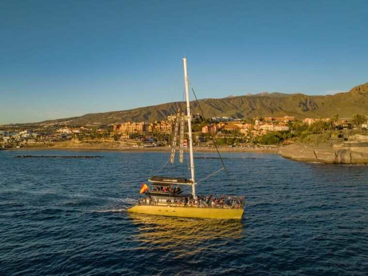 costa-adeje-whale-watching-cruise-with-snack-and-drinks