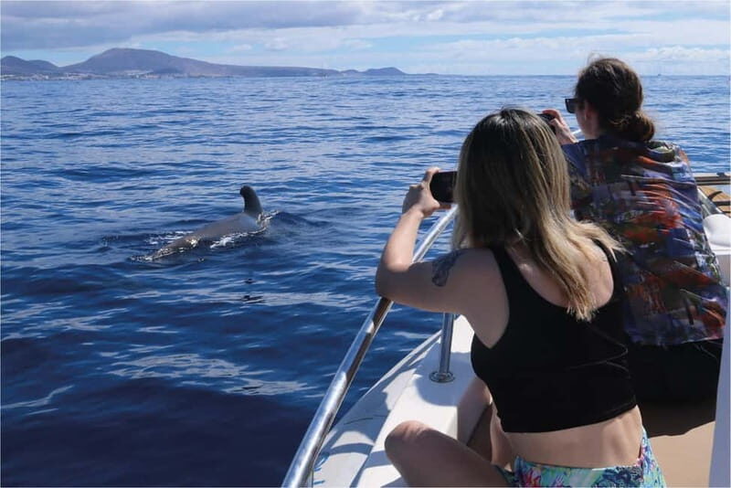 Costa Adeje: Whale Watching Eco Experience with Hydrophone. - An Authentic Marine Encounter in Europe’s Only Whale Sanctuary