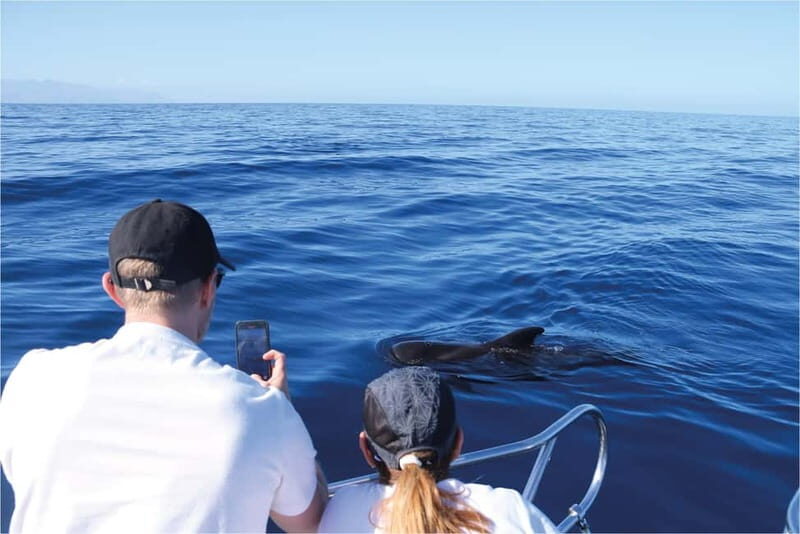 Costa Adeje: Whale Watching Eco Experience with Hydrophone. - The Sum Up