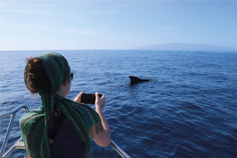 costa-adeje-whale-watching-eco-experience-with-hydrophone