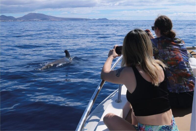 costa-adeje-whale-watching-eco-experience-with-hydrophone