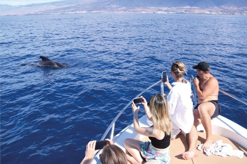 costa-adeje-whale-watching-eco-experience-with-hydrophone