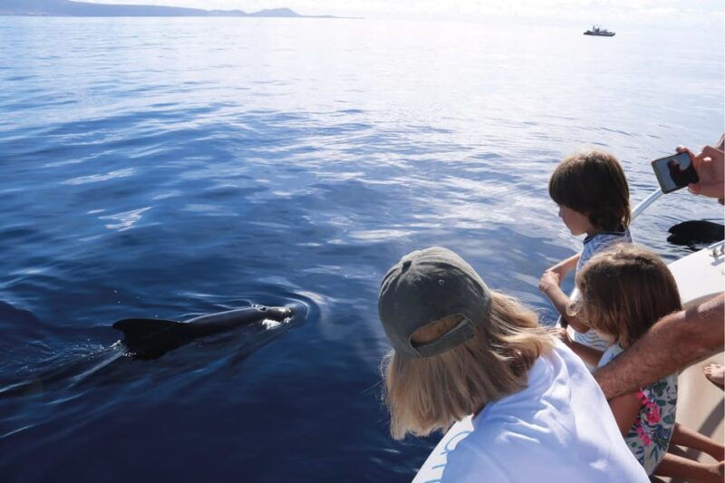 costa-adeje-whale-watching-eco-experience-with-hydrophone
