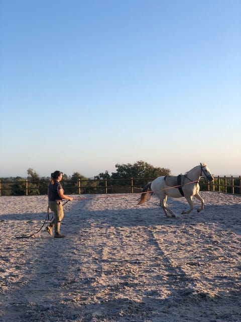 costa-alentejana-horse-tour-in-serra-de-grandola