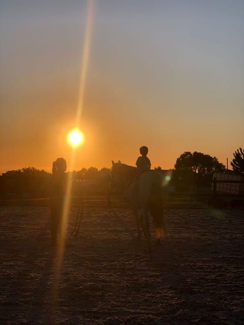 costa-alentejana-horse-tour-in-serra-de-grandola