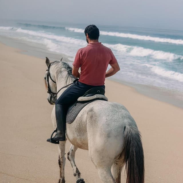 costa-alentejana-horse-tour-in-serra-de-grandola