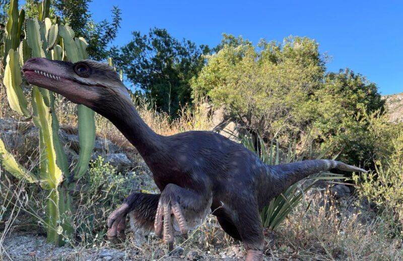 costa-blanca-dinopark-algar-entry-ticket