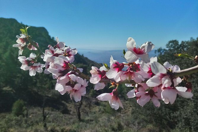 costa-blanca-guided-walk