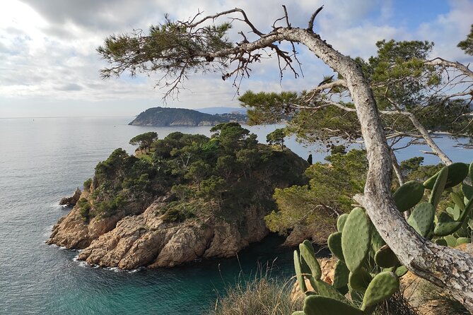 costa-brava-coast-hike-and-snorkel-from-barcelona-with-lunch