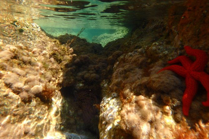 costa-brava-day-adventure-kayak-snorkel-cliff-jump-with-lunch