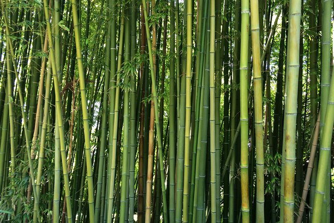 costa-brava-medieval-village-small-group-tour-including-lunch