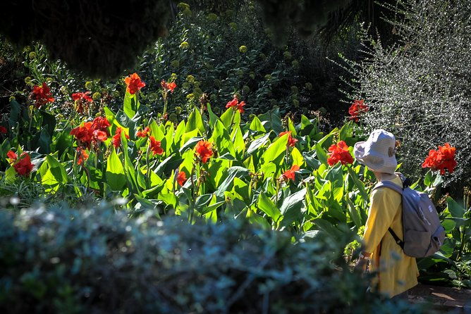 costa-brava-medieval-village-small-group-tour-including-lunch