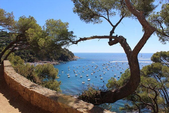 Costa Brava Typical Towns full day tour from Barcelona - Who is This Tour Best For?  