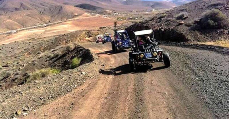 costa-calma-buggy-safari
