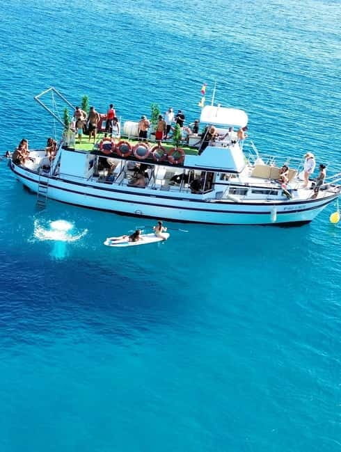 Costa Calma: Fuerteventura Dolphin Watching Boat Tour - Key Points