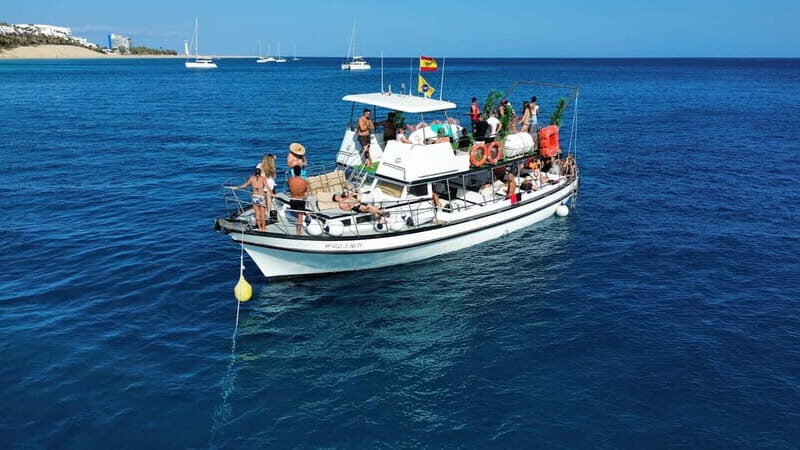 Costa Calma: Fuerteventura Dolphin Watching Boat Tour - Speed and Comfort on the Water
