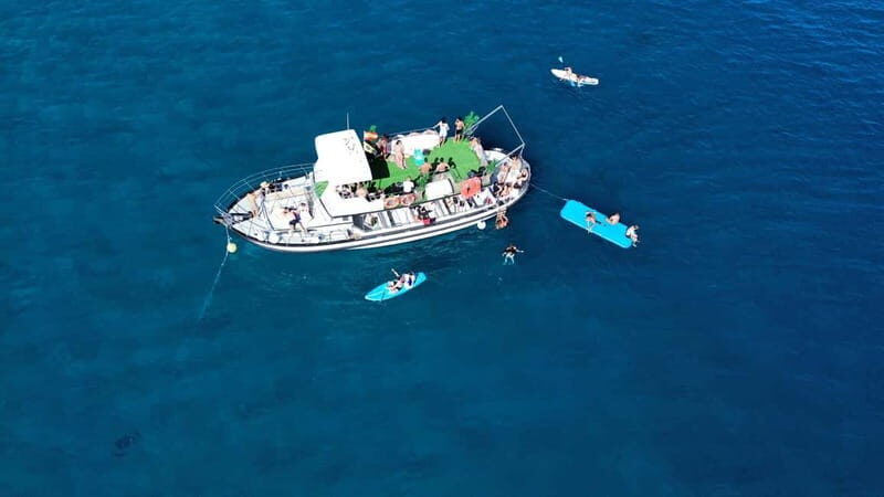 Costa Calma: Fuerteventura Dolphin Watching Boat Tour - Who Will Enjoy This Tour?