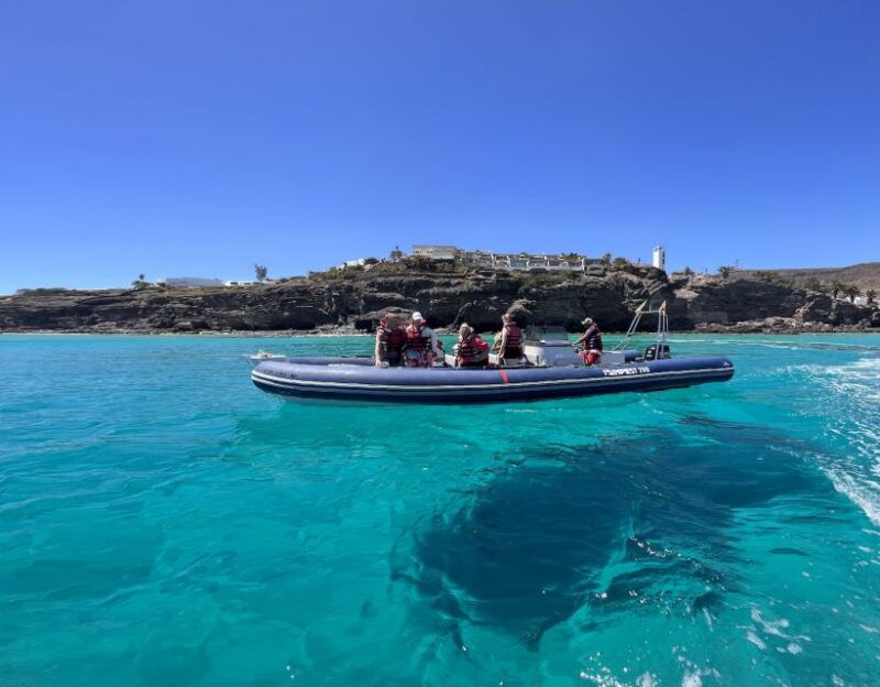costa-calma-fuerteventura-dolphin-watching-zodiac-boat-tour