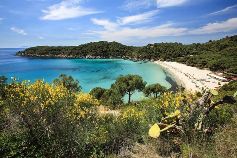 Costa del Sole Elba Island: Tour from Portoferraio and Lacona - Transportation & Group Size