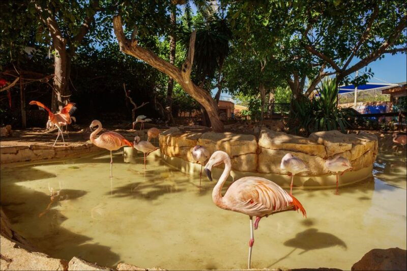 costa-den-blanes-entry-ticket-for-marineland-mallorca