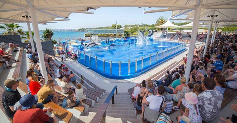 costa-den-blanes-entry-ticket-for-marineland-mallorca