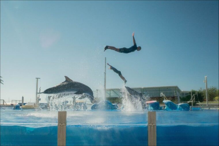 costa-den-blanes-entry-ticket-for-marineland-mallorca