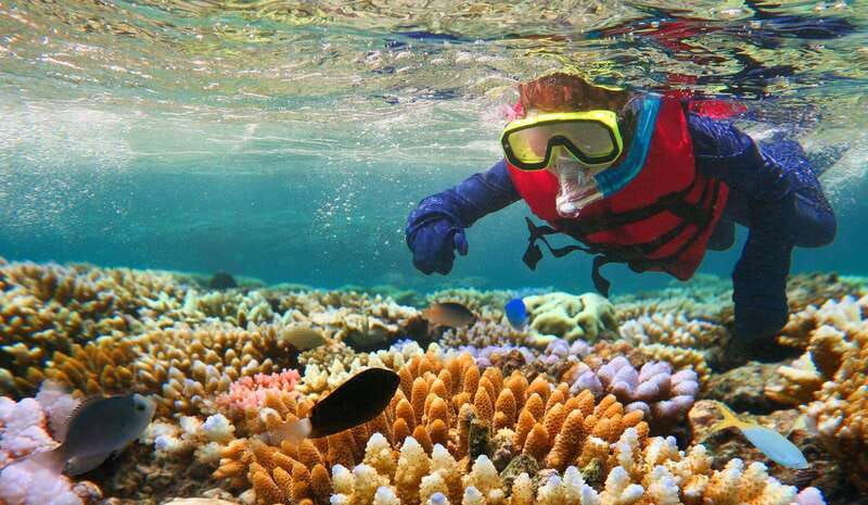 costa-maya-snorkeling-adventure-by-boat-with-photos