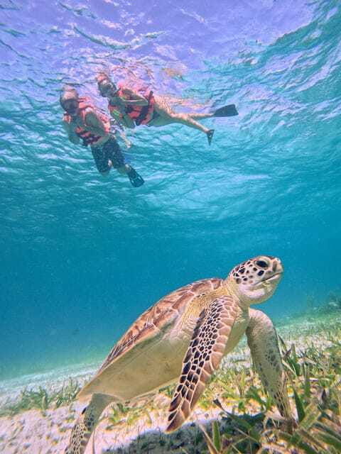 costa-maya-snorkeling-tour-to-the-reef