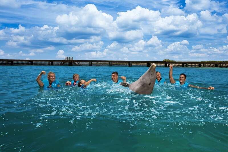 Costa Mujeres: Swim with Dolphins - Key Points