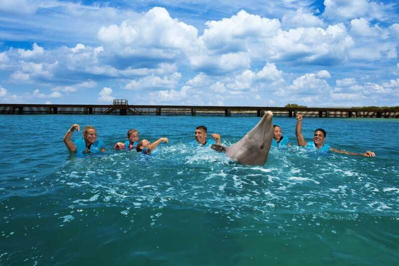 Costa Mujeres: Swim with Dolphins - Authentic Feedback from Past Participants