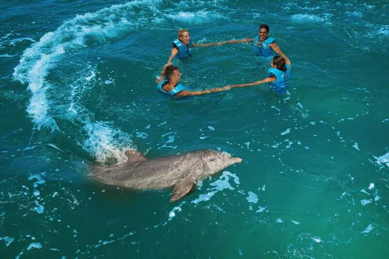 Costa Mujeres: Swim with Dolphins - Who Will Love This Tour?