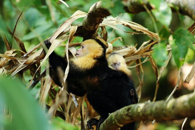 costa-rica-7-nights-8-days-all-inclusive-deluxe-package