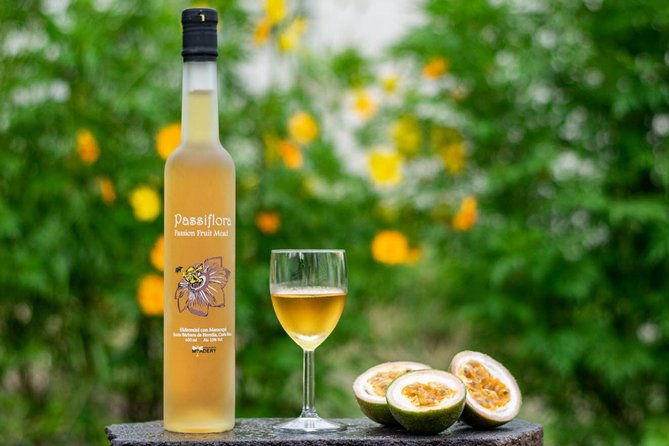 costa-rica-central-valley-wine-beer-and-mead-tour-and-tasting