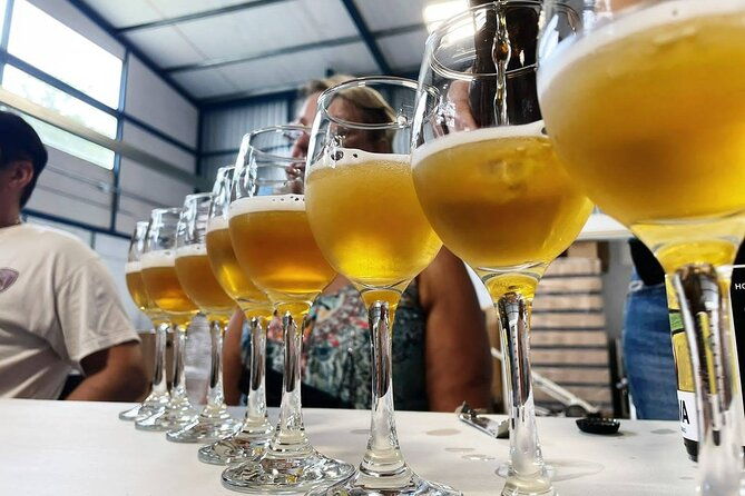 costa-rica-central-valley-wine-beer-and-mead-tour-and-tasting