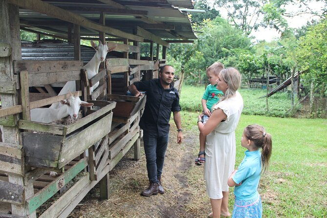costa-rica-descents-organic-farm