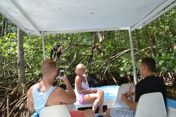 costa-rica-mangrove-monkey-tour