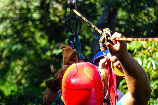 costa-rica-monkey-jungle-zipline-from-tamarindo