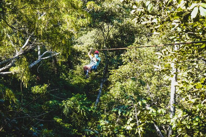 costa-rica-monkey-jungle-zipline-from-tamarindo