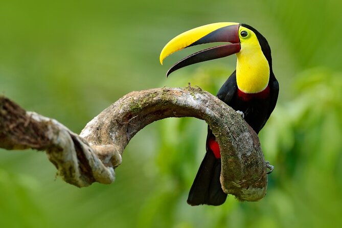 costa-rica-package-private