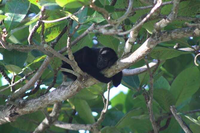 costa-rica-private-tour-experience