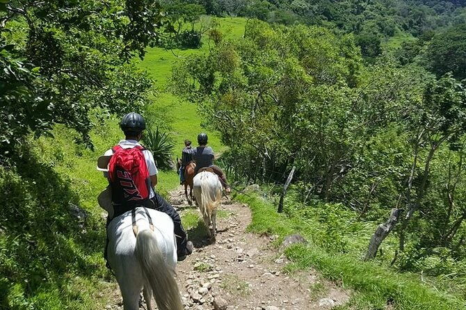 costa-rica-private-tour-experience