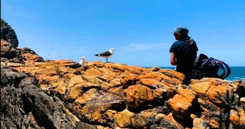 Costal Hiking Sacramento Trail: Port Elizabeth - An Overview of the Sacramento Coastal Hike