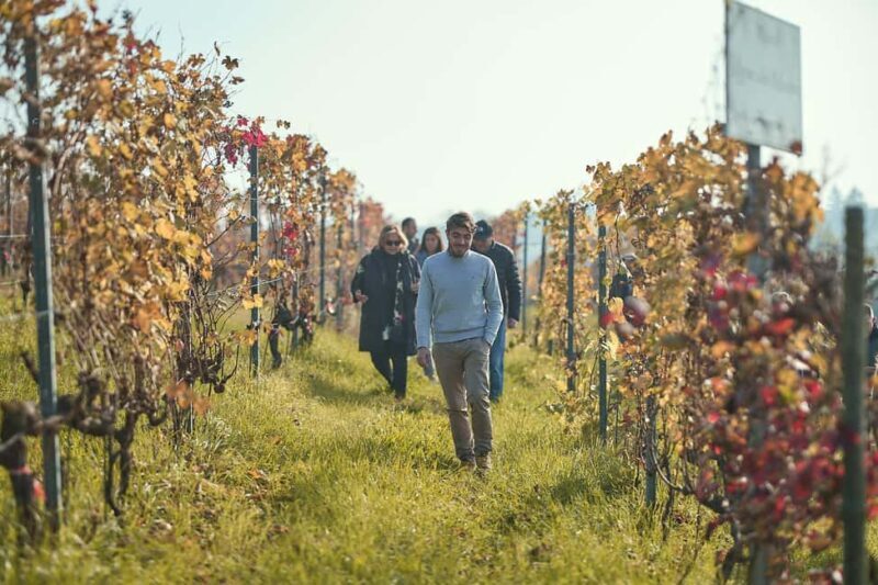 Costigliole d'Asti: Cellar tour and tasting - Costigliole dAsti: Cellar Tour and Tasting — An Authentic Taste of Piedmont