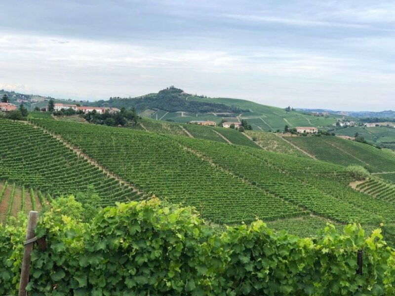 costigliole-dasti-guided-walking-tour-with-wine-tasting