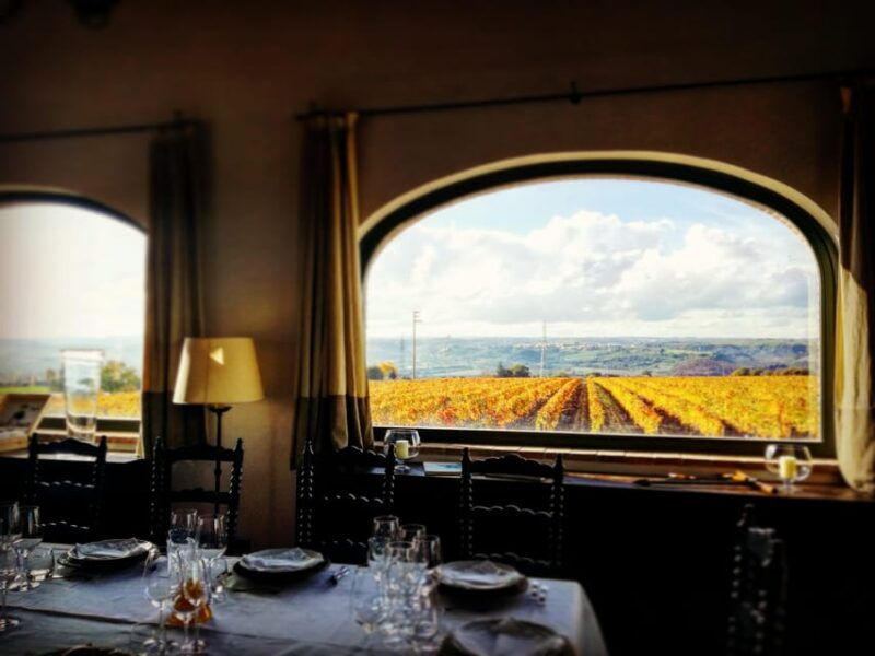 cotarella-family-near-orvieto-wine-taste-and-visit