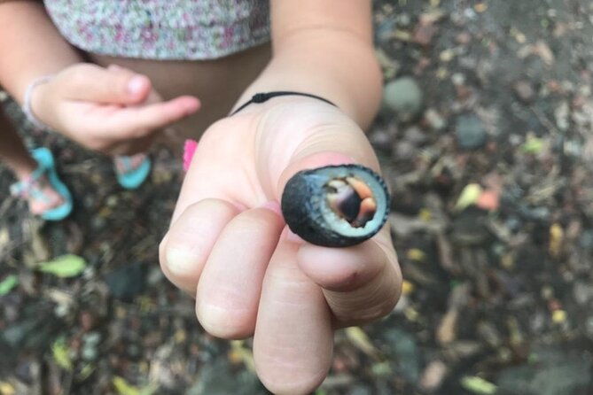 cote-au-vent-discover-the-bathtub-of-josephine-boat-trip