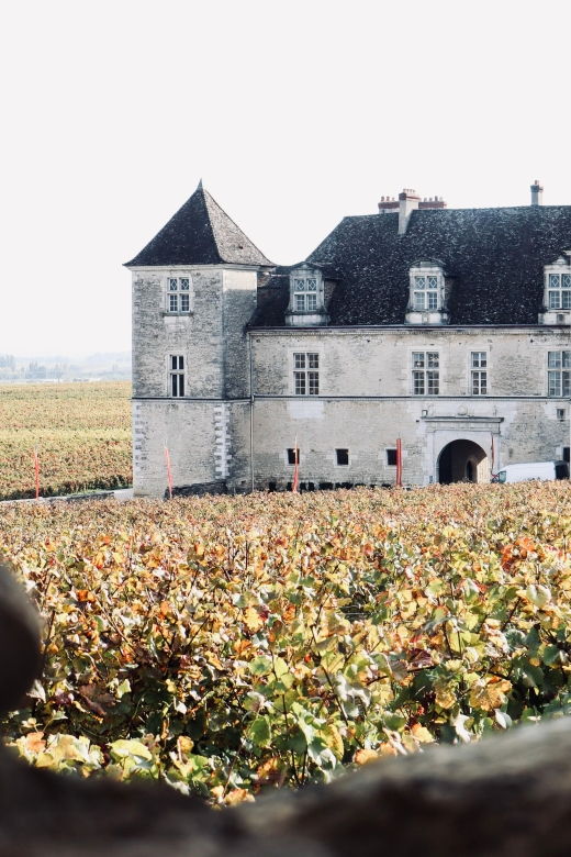 cote-de-beaune-and-cote-de-nuits-private-full-day-wine-tour
