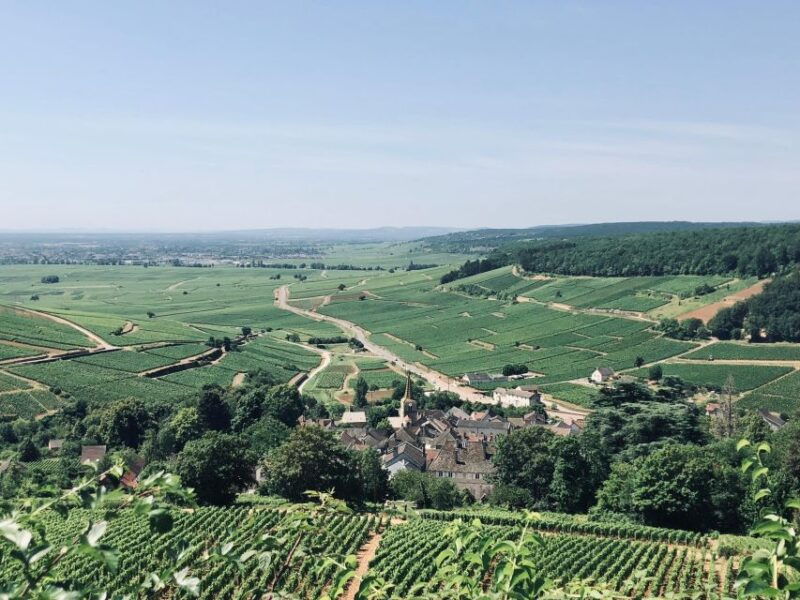 cote-de-beaune-and-cote-de-nuits-private-full-day-wine-tour
