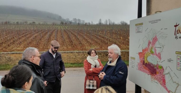 cote-de-beaune-private-local-wineries-and-wine-tasting-tour