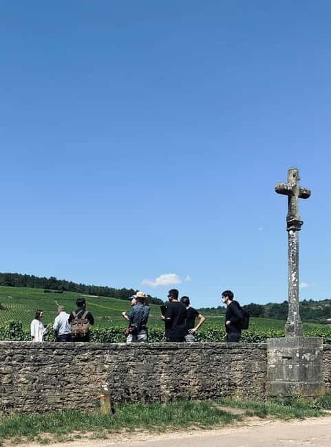 Côte de Nuits: 2h30 excursion among the vines - Key Points